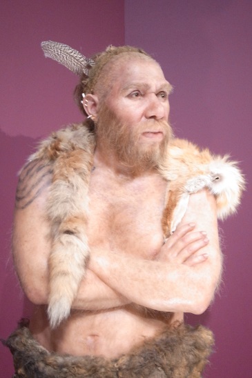 3.JPG