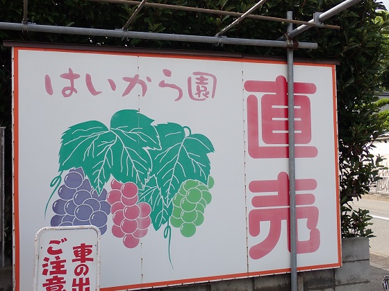 3.JPG